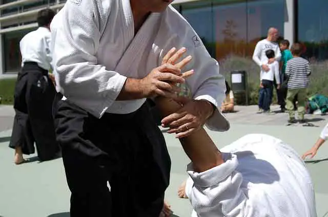 best martial arts for small guys aikido