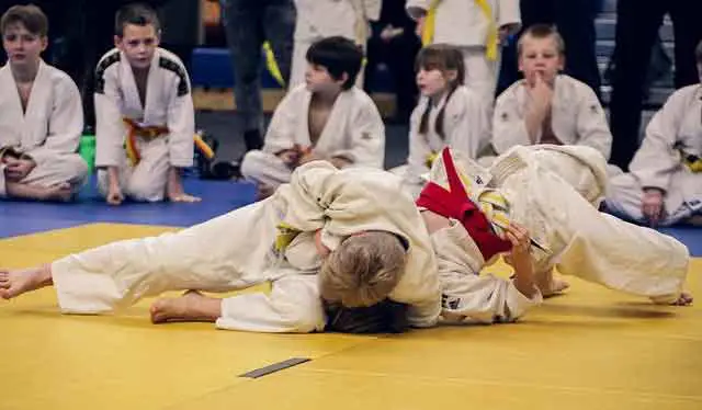 best martial arts for small guys judo