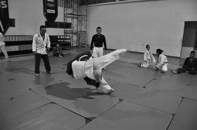 best martial arts for street fighting: judo